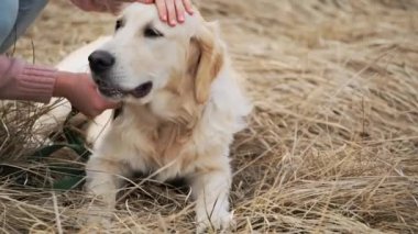 Sevimli köpek sevici kız.