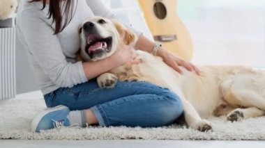 Güzel köpek kız bacaklarında yatıyor.