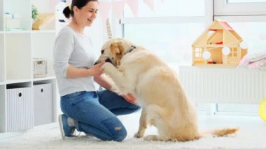 Tatlı Golden Retriever 'ı olan mutlu kadın
