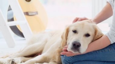 Sevimli genç köpek avuçlayan kızla eğleniyor.