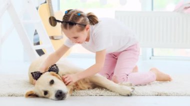 Küçük kız sevimli köpeğe jant takıyor.