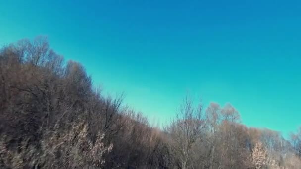 Bomen in een geploegd veld in het vroege voorjaar, — Stockvideo