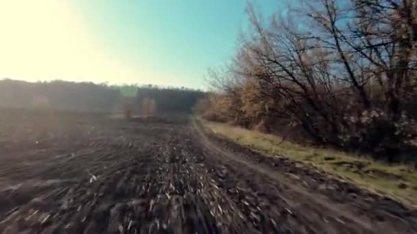 Bomen in een geploegd veld in het vroege voorjaar, — Stockvideo