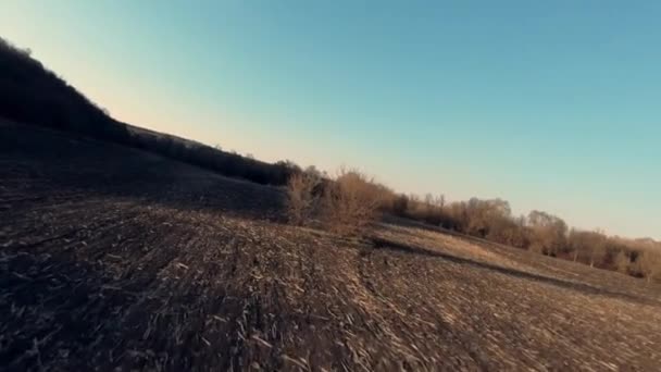 Bomen in een geploegd veld in het vroege voorjaar, — Stockvideo