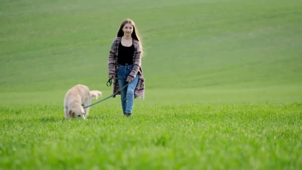 Mädchen mit Hund auf der grünen Wiese — Stockvideo