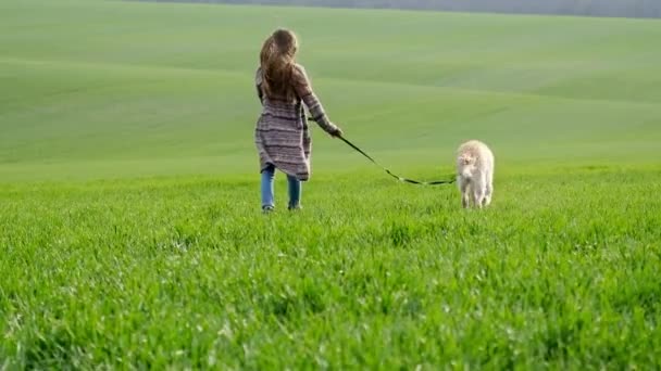 Fata cu câine pe câmp verde — Videoclip de stoc