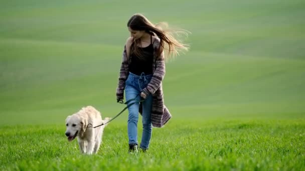 Ragazza con cane su campo verde — Video Stock