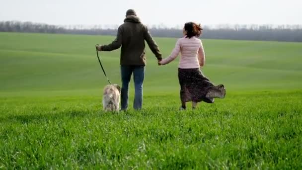 Paar geht mit Hund auf Feld spazieren — Stockvideo