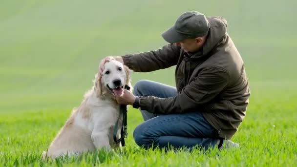 Hombre palming perro en verde hierba — Vídeo de stock