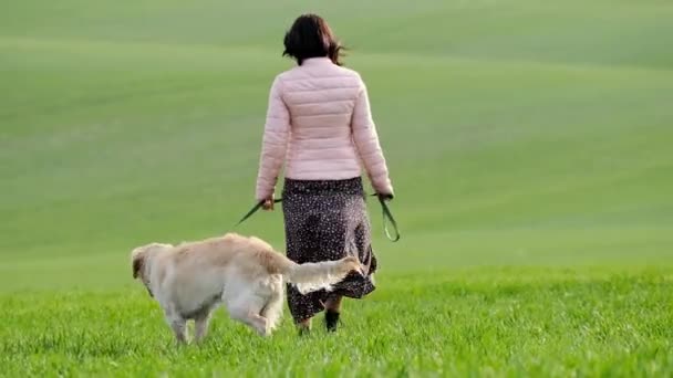 Woman walking with retriever outdoors — Stock Video