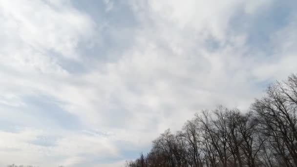 Drönare som flyger över fält — Stockvideo
