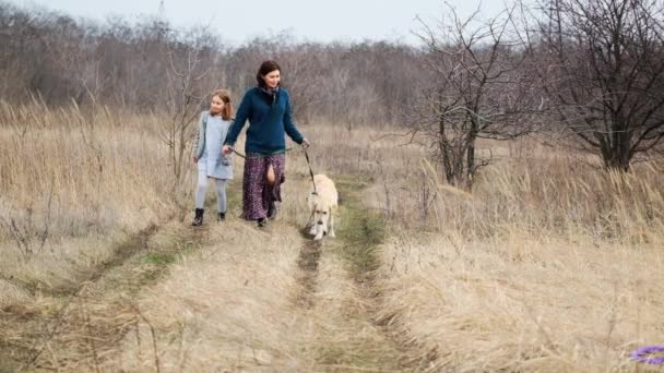 Gassi gehender Hund in frühlingshafter Natur — Stockvideo