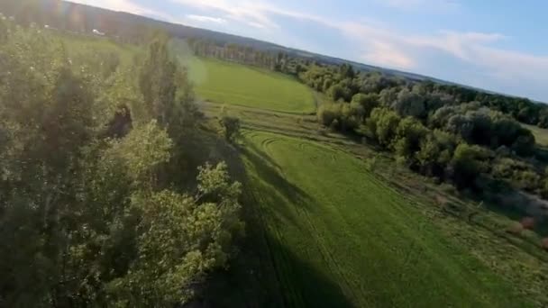 Alberi verdi che crescono vicino al campo agricolo — Video Stock