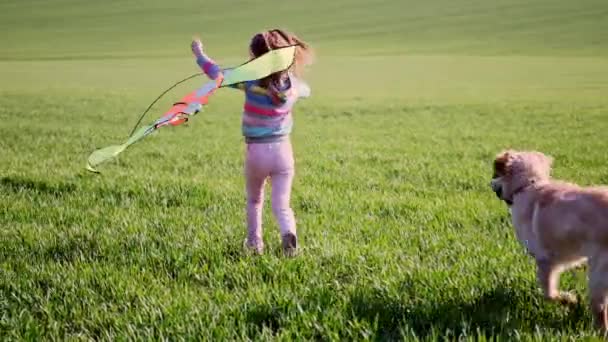 Girl and dog flying kite on field — Stock Video