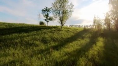 Güneşli tarım alanının havadan görünüşü