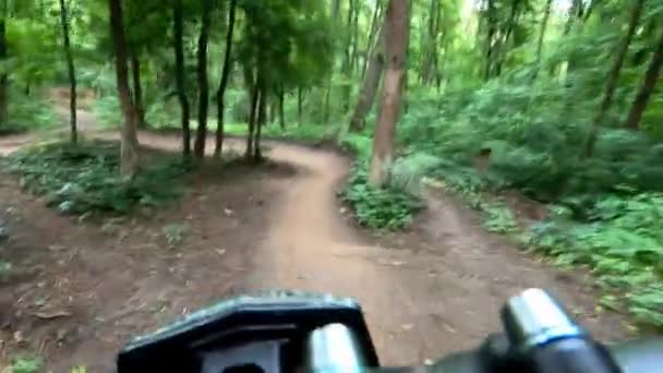 Jezdecká cyklostezka v lese — Stock video
