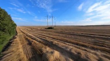 Tarım alanında elektrik direkleri