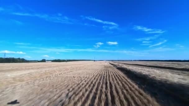 Campo de cosecha bajo cielo azul claro — Vídeo de stock