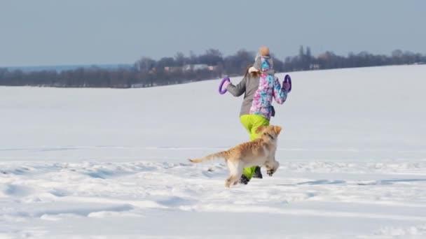 Девушка с собакой на снежном поле — стоковое видео