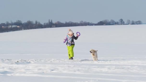 Chica con perro en el campo cubierto de nieve — Vídeos de Stock