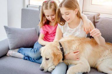 Gülümseyen kızlar sevimli köpekleri kucaklıyor.
