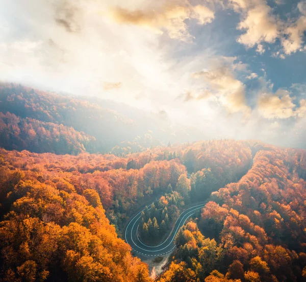 Петля трансфагарасанского шоссе между деревьями — стоковое фото