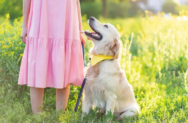 Golden retriever pies siedzi w pobliżu dziewczyny — Zdjęcie stockowe