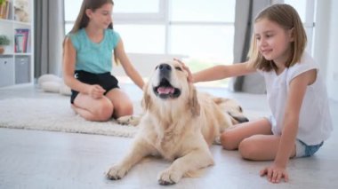 Çocuklar ışık odasında köpeklerle oynuyorlar.