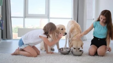 Çocuklar ışık odasında köpekleri besliyor.