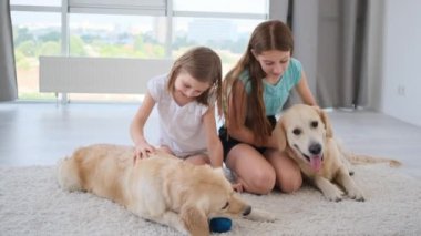 Çocuklar ışık odasında köpeklerle oynuyorlar.