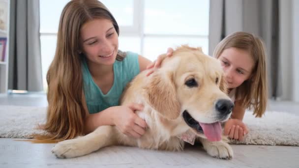 Niños jugando con perros en sala de luz — Vídeo de stock