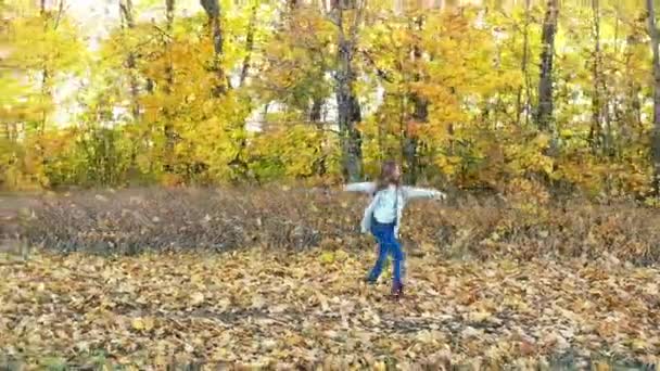 Симпатична маленька дівчинка танцює один серед загиблих кленової відпустки — стокове відео