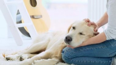 Sevimli genç köpek avuçlayan kızla eğleniyor.