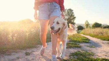 Golden Retriever kızın yanına gidiyor.
