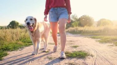 Golden Retriever kızın yanına gidiyor.