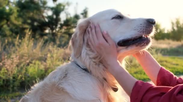 Kvinnan smeker golden retriever vid solnedgången — Stockvideo