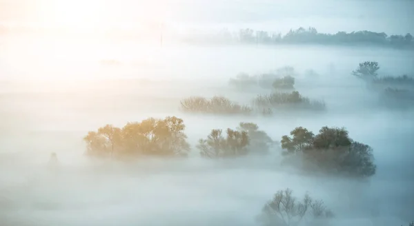 Paisaje cubierto de niebla — Foto de Stock