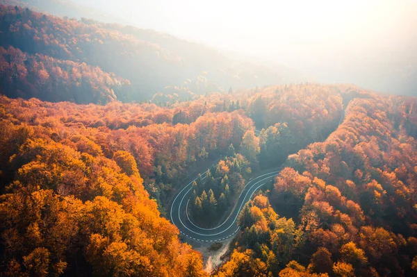 Smyčka dálnice Transfagarasan mezi stromy — Stock fotografie