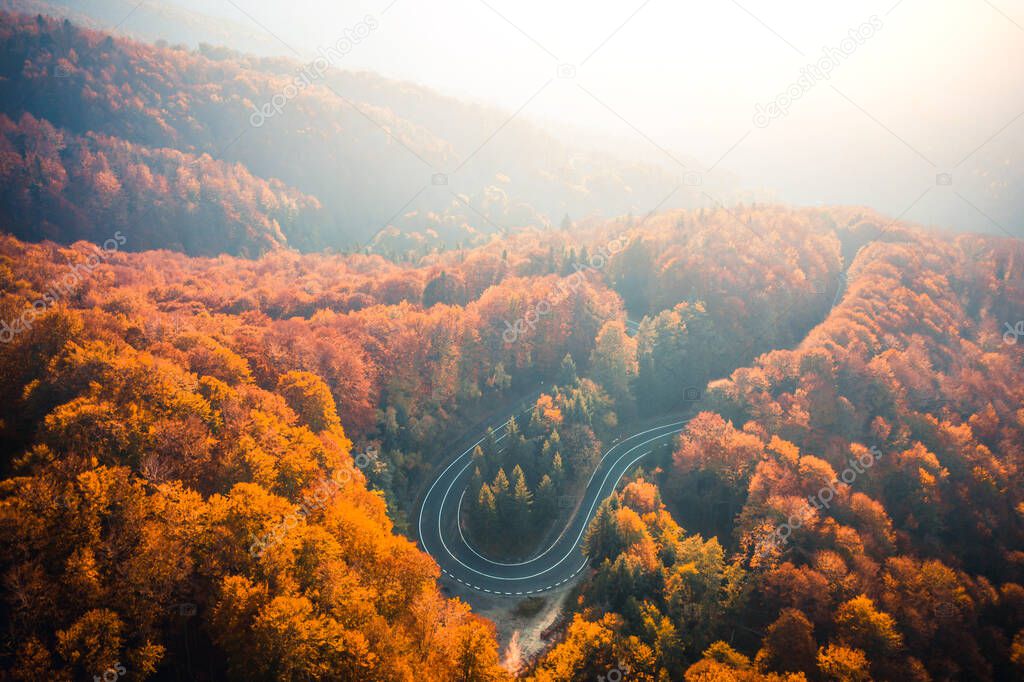 Loop of Transfagarasan highway between trees