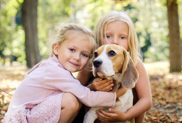 Amis avec un chien beagle — Photo
