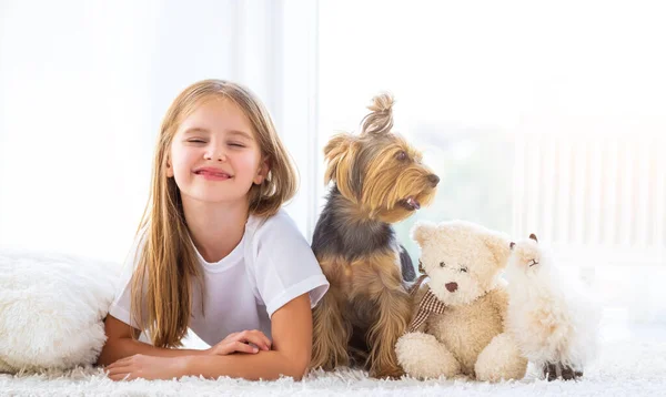 Junto a perro mascota y juguetes —  Fotos de Stock