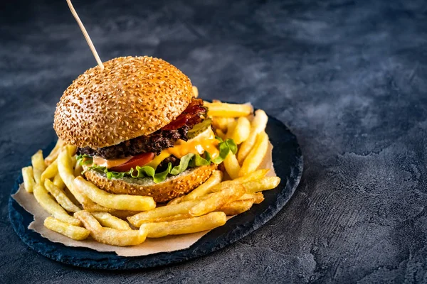 Juicy burger with french fries — Stock Photo, Image
