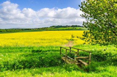 Lincolnshire Köprüsü ve kırpma alanları yaz aylarında yol ile