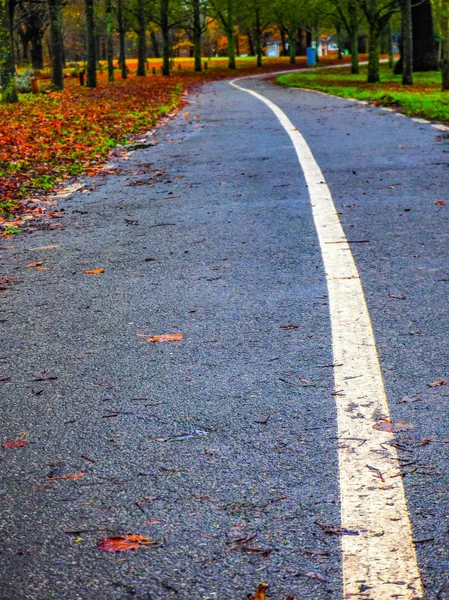 Estrada Asfalto Com Linha Branca Folhas Outono — Fotografia de Stock