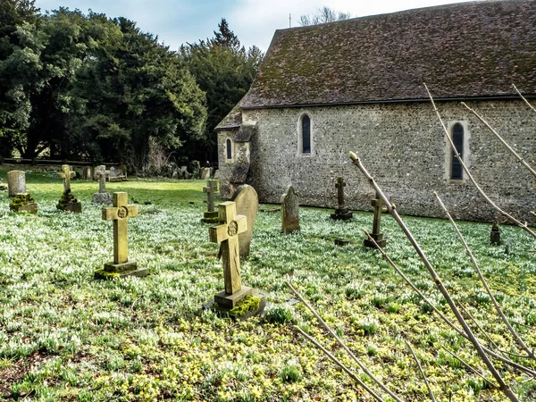 Swyncombe Ευρύτερη Περιοχή Οξφόρδης Αγγλία Snowdrops Φεβρουαρίου 2019 Στο Νεκροταφείο — Φωτογραφία Αρχείου