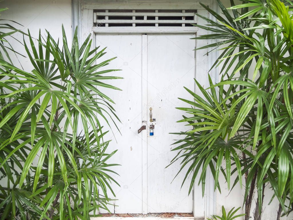 The wooden door Vintage Style of Thailand
