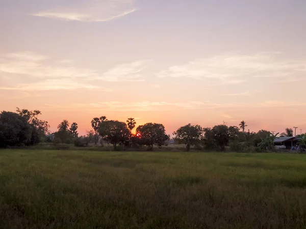 Campo Nella Campagna Della Thailandia — Foto Stock