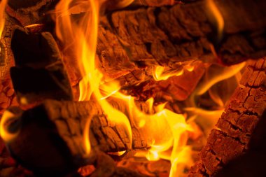 Burning logs in flames of the fireplace clipart