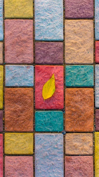 Close-up geel blad op kleurrijke stenen bakstenen. Herfst samenstelling concept. — Stockfoto