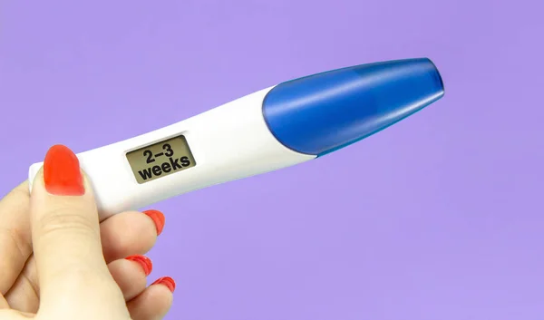 紫色で隔離されたデジタル妊娠検査を保持する女性の手。2-3週間の早期妊娠テスト画面. ロイヤリティフリーのストック画像